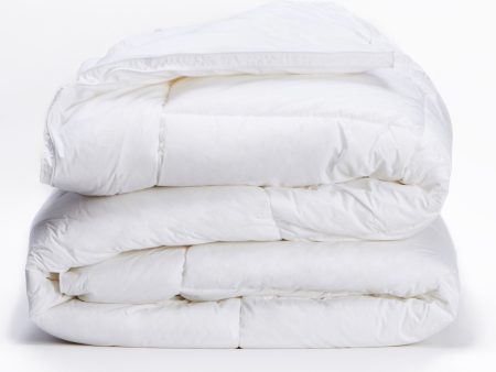 Valentino Natural Down Comforter Sale