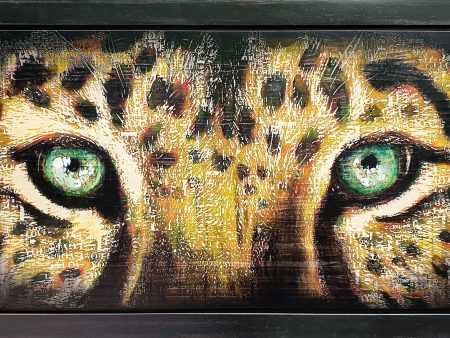 Leopard Eyes by Rob Bishop For Sale