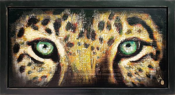 Leopard Eyes by Rob Bishop For Sale